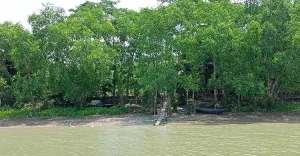 bagerhat-20260831151353.jpg