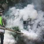 বিশ্বের অর্ধেক মানুষ ডেঙ্গু ঝুঁকিতে