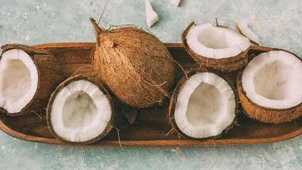 coconut-img-20260902115043.webp.webp