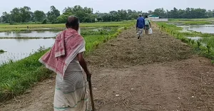 comilla-2-20260906122608.jpg