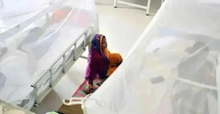 dengu2-mtlfroby2h3e89b-20260903172443.jpg
