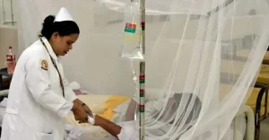 dengue-mt5qsyh24vid58k-20260823174853-mtfqj8ut4ebx-mtikou01htxkh16-20260901172102.jpg