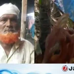 গরু চুরি করে বিএনপি নেতার গোয়ালঘরে রেখে গেল চোর!