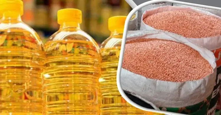oil-dal-20231213164150-mtjwfj06gt7b9mv-20260902153638.jpg