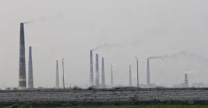polu1-20230218131554.jpg