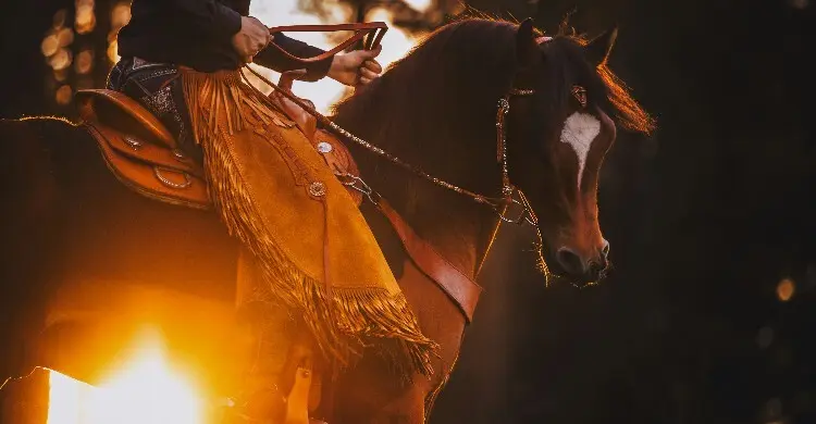 rebecca-muller-jnxwleq-e-y-unsplash-mtcjyan6ynmmzxk-20260828121557.jpg