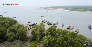 satkhira-1-20260901083513.jpg